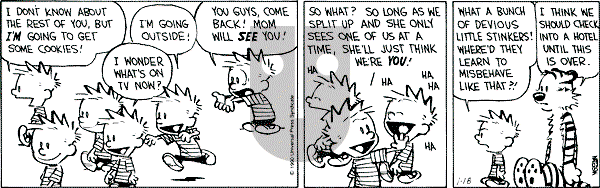 Calvin and Hobbes - Thursday January 18, 1990 Comic Strip