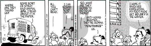 Over the Hedge - Tuesday January 30, 2001 Comic Strip