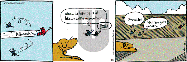 Overboard on Wednesday September 2, 2009 Comic Strip