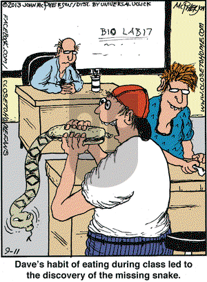 Close to Home on Wednesday September 11, 2013 Comic Strip