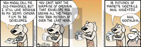 DeFlocked on Saturday November 7, 2020 Comic Strip