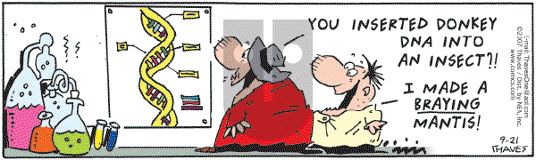 Frank and Ernest - Friday September 21, 2007 Comic Strip