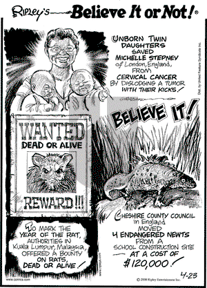 Ripley's Believe It or Not on Wednesday April 23, 2008 Comic Strip