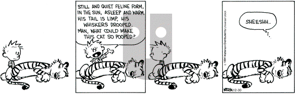 Calvin and Hobbes on Tuesday December 30, 2014 Comic Strip