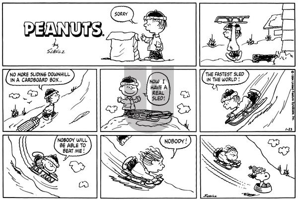 Peanuts on Sunday January 23, 1994 Comic Strip