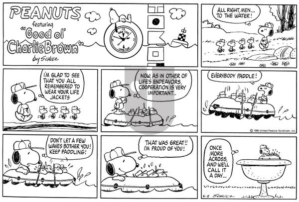 Peanuts on Sunday June 8, 1980 Comic Strip