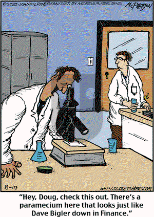 Close to Home on Tuesday August 19, 2025 Comic Strip