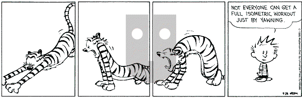 Calvin and Hobbes - Thursday September 28, 1995 Comic Strip