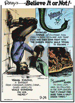 Ripley's Believe It or Not - Thursday September 24, 2009 Comic Strip