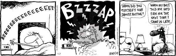 The Duplex on Friday January 7, 2000 Comic Strip