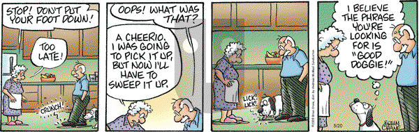 Pickles on Tuesday May 20, 2025 Comic Strip