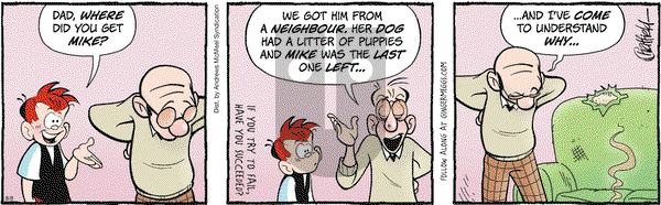Ginger Meggs - Thursday August 8, 2024 Comic Strip