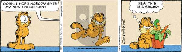 Garfield - Saturday January 15, 2011 Comic Strip