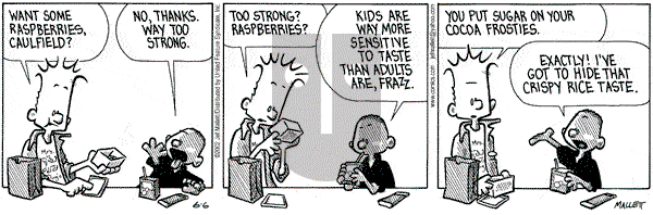 Frazz on Thursday June 6, 2002 Comic Strip