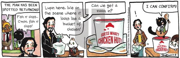 Breaking Cat News on Wednesday November 8, 2017 Comic Strip