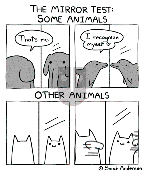 Sarah's Scribbles on Saturday April 20, 2024 Comic Strip