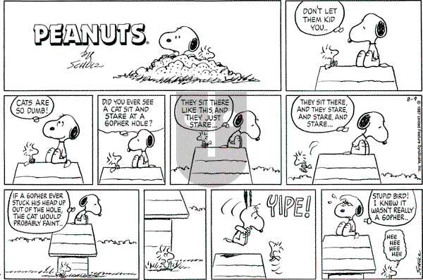 Peanuts - Sunday August 9, 1987 Comic Strip