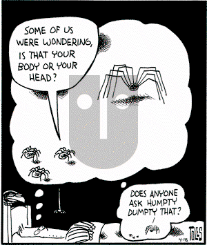 Randolph Itch, 2 a.m. - Thursday June 20, 2024 Comic Strip