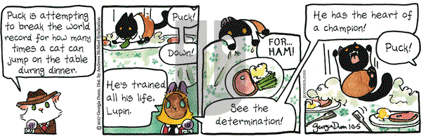 Breaking Cat News on Thursday October 5, 2017 Comic Strip