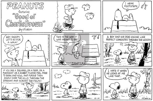 Peanuts on Sunday December 14, 1986 Comic Strip