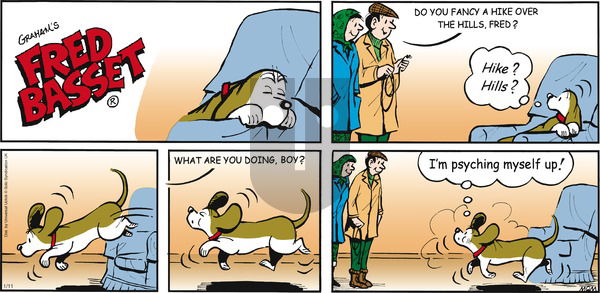 Fred Basset on Sunday January 11, 2015 Comic Strip
