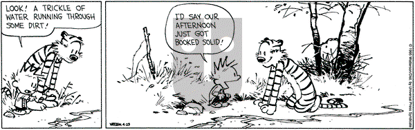 Calvin and Hobbes on Saturday April 29, 1995 Comic Strip