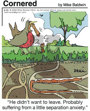 Cornered on Wednesday August 20, 2014 Comic Strip