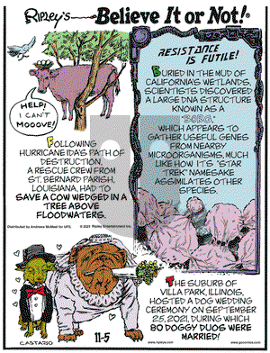 Ripley's Believe It or Not - Friday November 5, 2021 Comic Strip