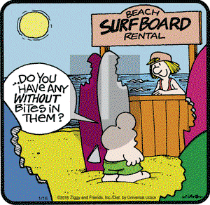 Ziggy on Saturday January 16, 2016 Comic Strip