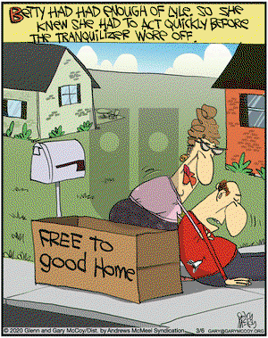 The Flying McCoys on Friday March 6, 2020 Comic Strip