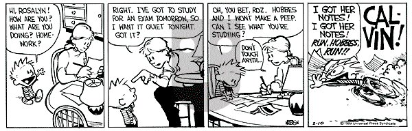 Calvin and Hobbes - Friday February 10, 1989 Comic Strip