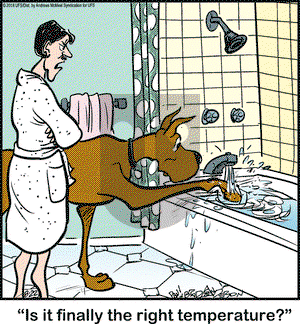 Marmaduke on Wednesday August 22, 2018 Comic Strip