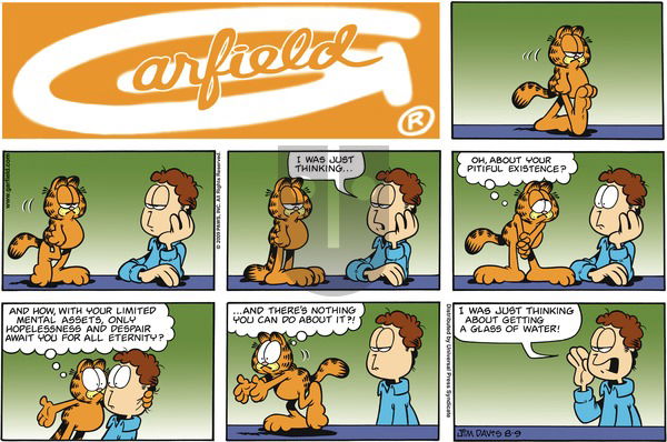 Garfield on Sunday August 9, 2009 Comic Strip