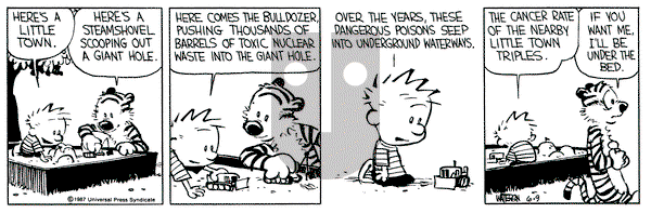 Calvin and Hobbes on Tuesday June 9, 1987 Comic Strip