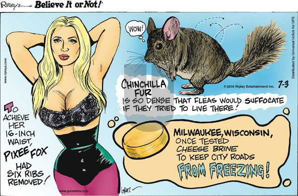 Ripley's Believe It or Not on Sunday July 3, 2016 Comic Strip