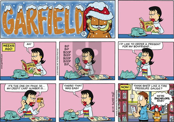 Garfield - Sunday December 19, 2010 Comic Strip