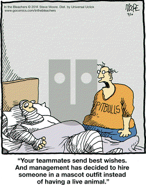 In the Bleachers on Thursday July 10, 2014 Comic Strip