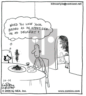 Kit 'N' Carlyle on Wednesday January 24, 2007 Comic Strip