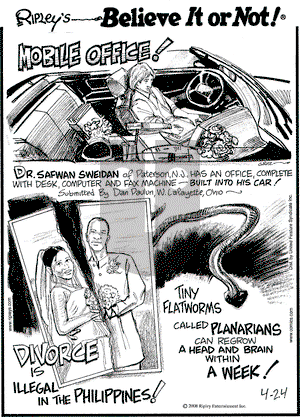 Ripley's Believe It or Not on Thursday April 24, 2008 Comic Strip