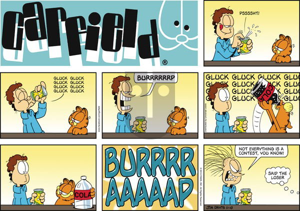 Garfield - Sunday November 10, 2013 Comic Strip