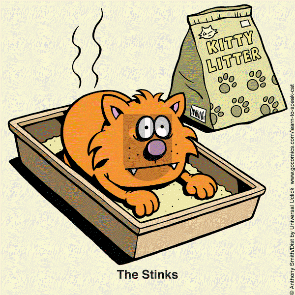 Learn to Speak Cat on Friday March 7, 2025 Comic Strip