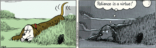 Fred Basset on Tuesday August 7, 2012 Comic Strip