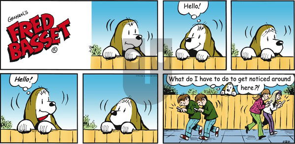 Fred Basset on Sunday November 10, 2013 Comic Strip