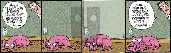 Monty on Tuesday July 24, 2012 Comic Strip