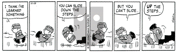 Peanuts on Thursday December 23, 1993 Comic Strip