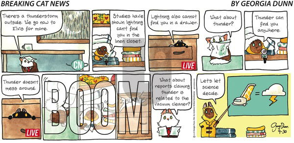 Breaking Cat News on Sunday September 30, 2018 Comic Strip