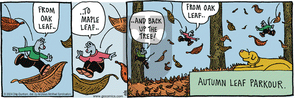 Overboard - Saturday November 2, 2024 Comic Strip