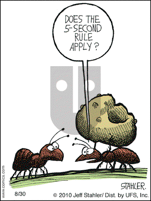 Moderately Confused on Monday August 30, 2010 Comic Strip