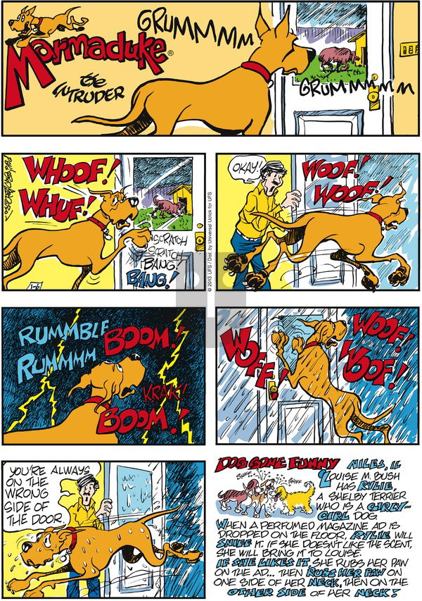 Marmaduke on Sunday January 6, 2013 Comic Strip