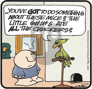 Ziggy on Thursday May 26, 2011 Comic Strip
